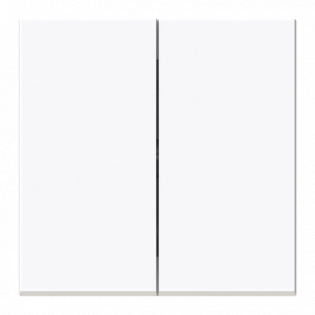 NIESSEN 2CLA881100A1001 2CLA881100A1001 8811 BT NIESSEN Dual BT switch-switch key